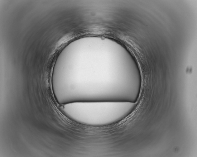 X0000096381451200801240951