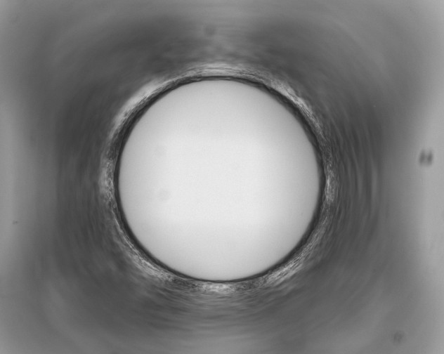 X0000096381454200801240951
