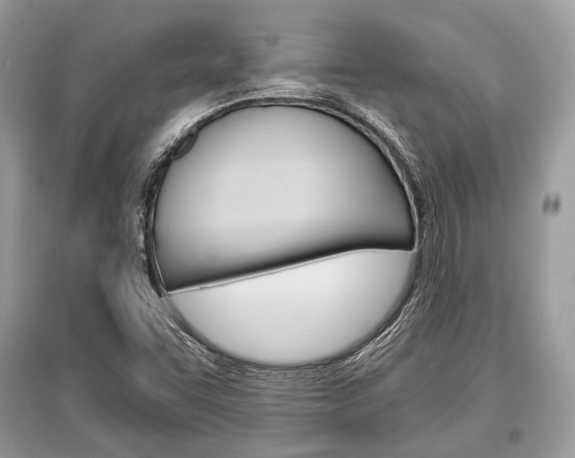 X0000096381455200801240951
