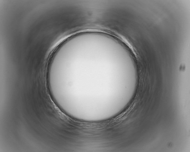 X0000096381456200801240951
