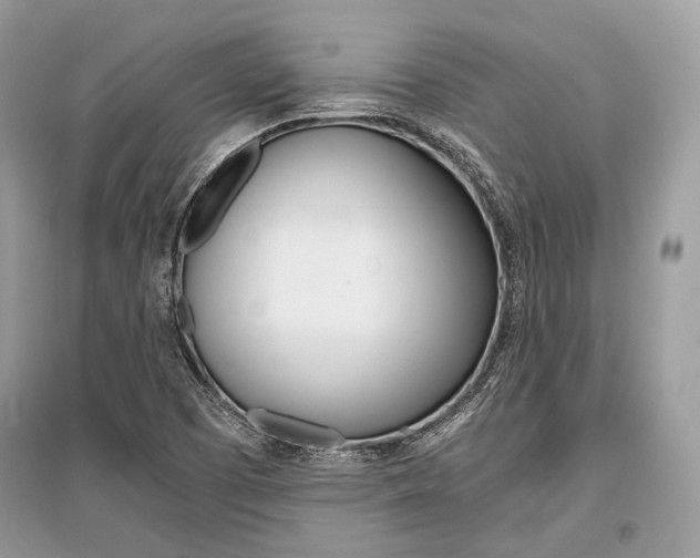X0000096381457200801240951