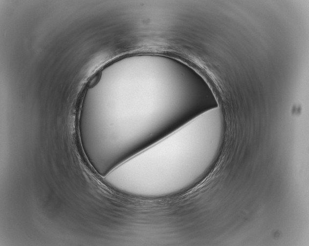 X0000096381459200801240951