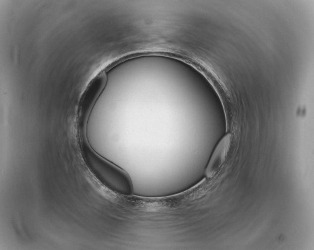 X0000096381460200801240951