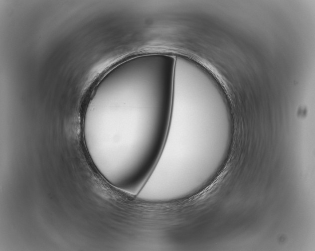 X0000096381461200801240951