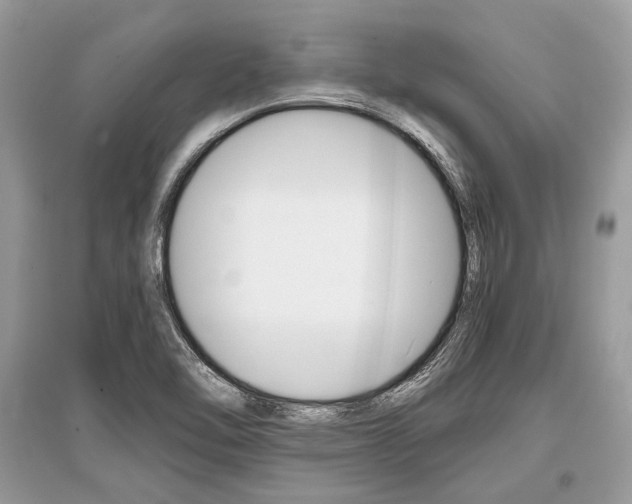 X0000096381462200801240951