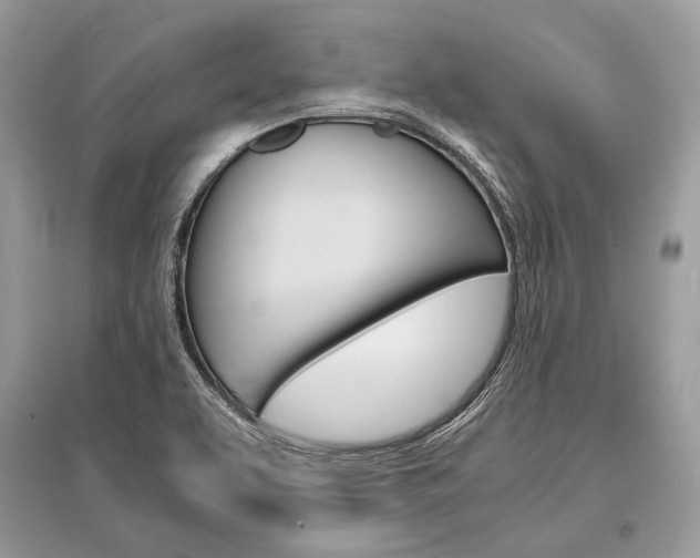 X0000096381463200801240951