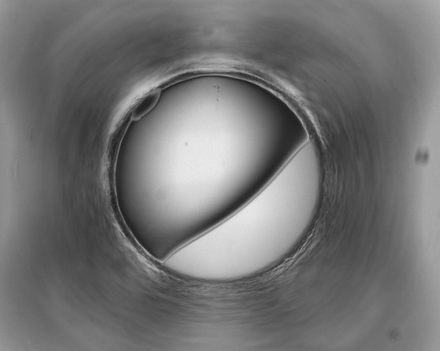 X0000096381464200801240951