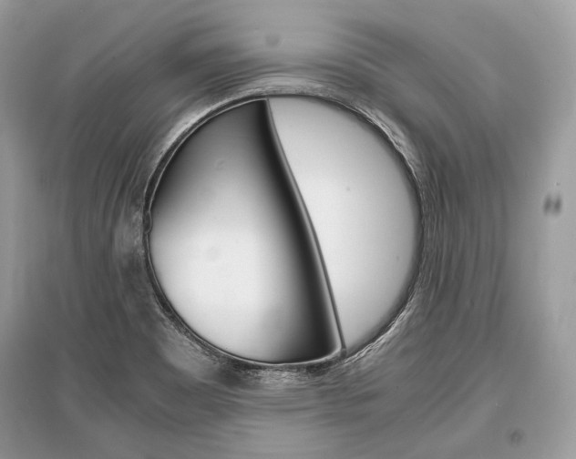 X0000096381465200801240951