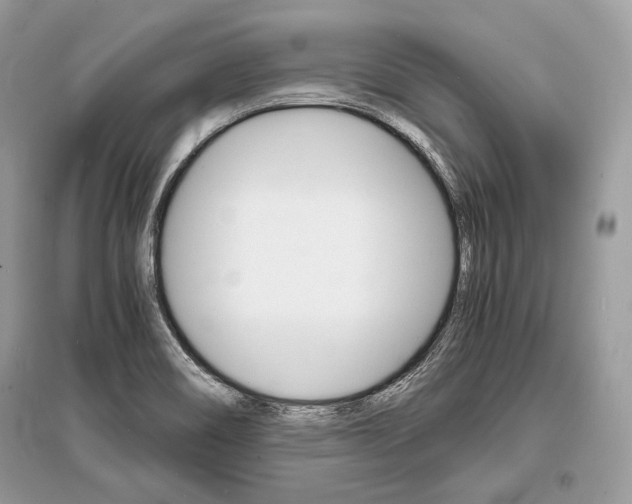 X0000096381466200801240951