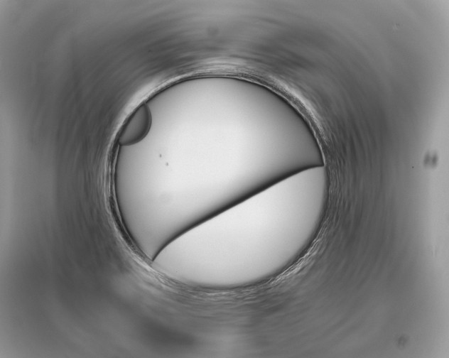 X0000096381467200801240951