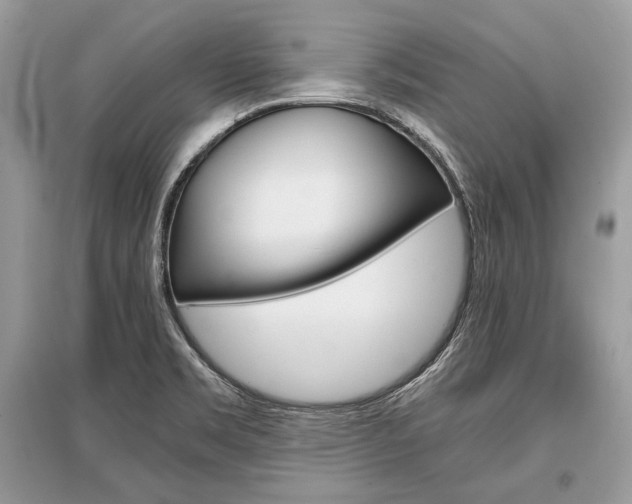 X0000096381469200801240951