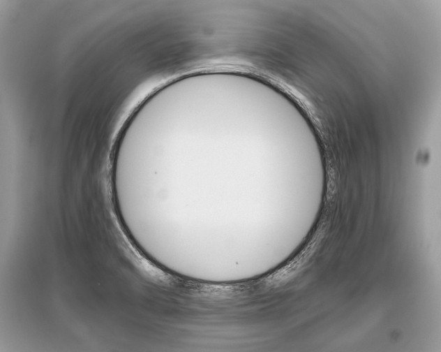 X0000096381470200801240951