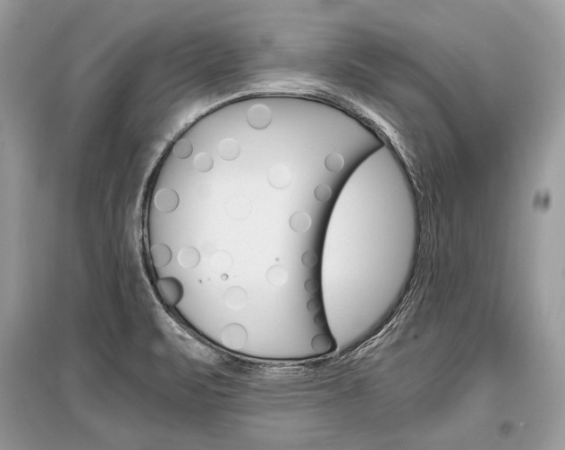 X0000096381471200801240951
