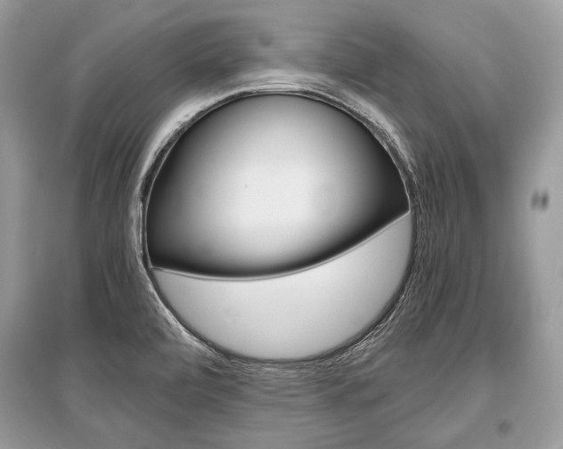 X0000096381472200801240951
