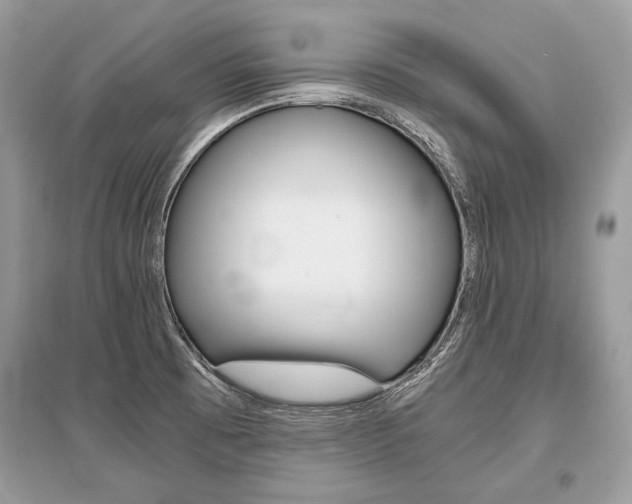 X0000096381473200801240951