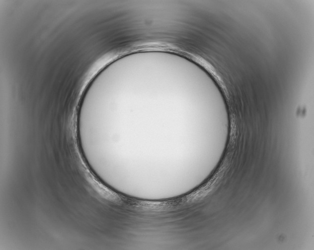 X0000096381474200801240951
