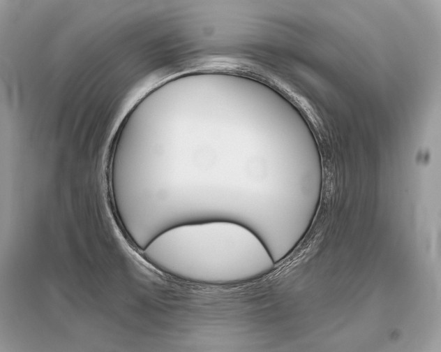 X0000096381475200801240951