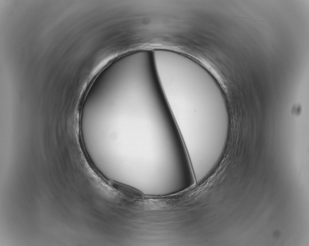 X0000096381476200801240951