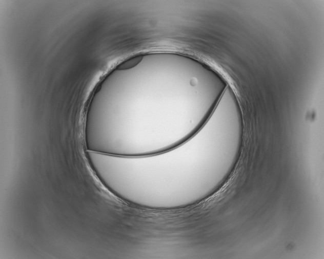 X0000096381477200801240951