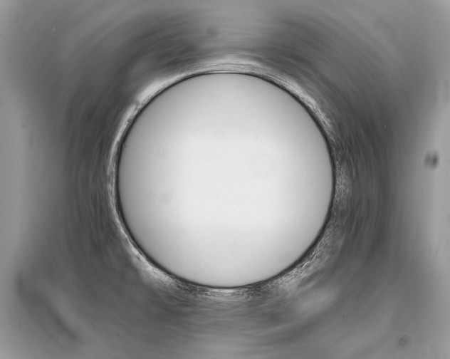 X0000096381478200801240951