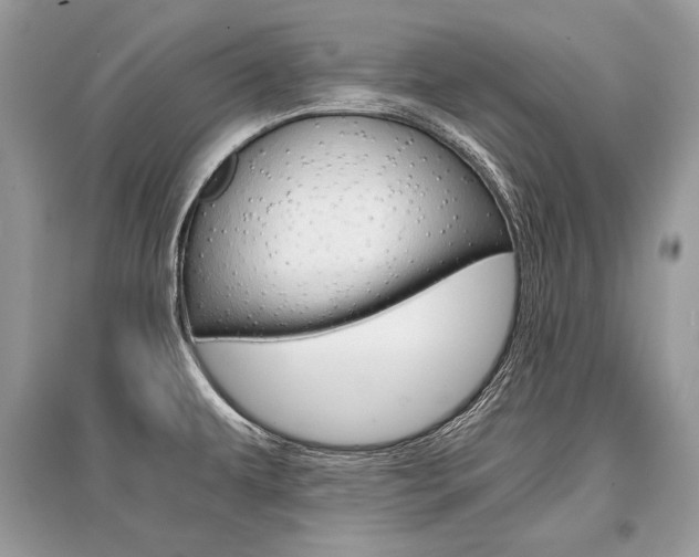 X0000096381479200801240951
