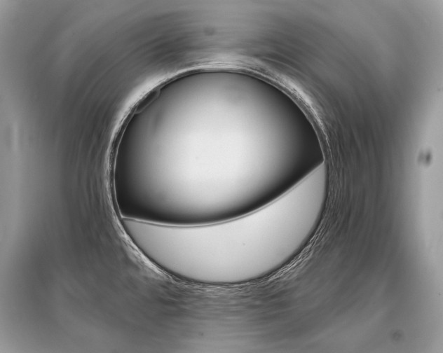 X0000096381480200801240951