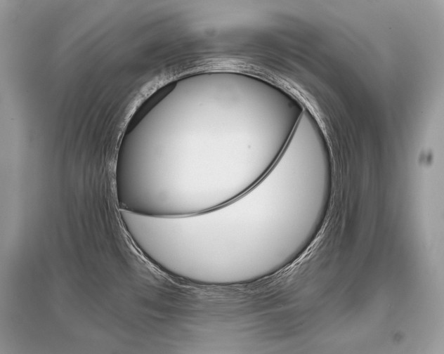 X0000096381481200801240951