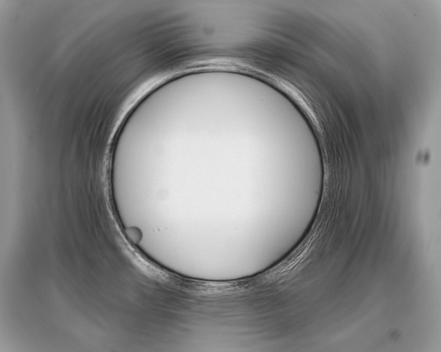 X0000096381482200801240951