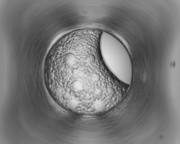 X0000096381483200801240951