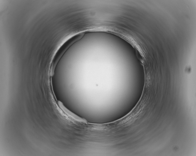 X0000096381484200801240951