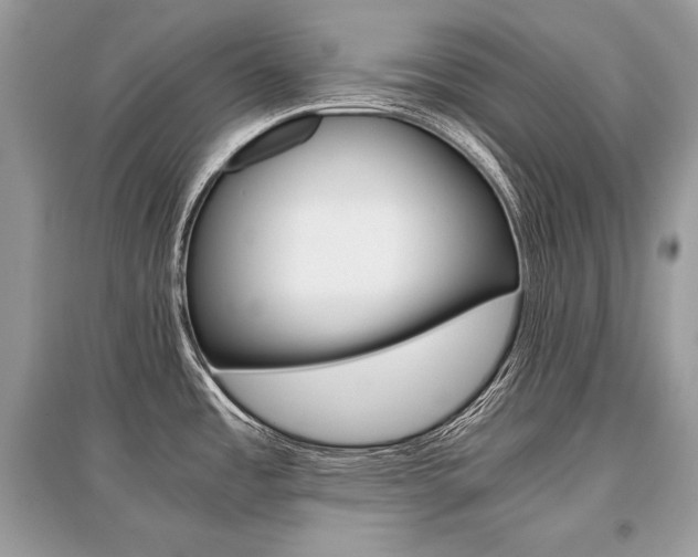 X0000096381485200801240951