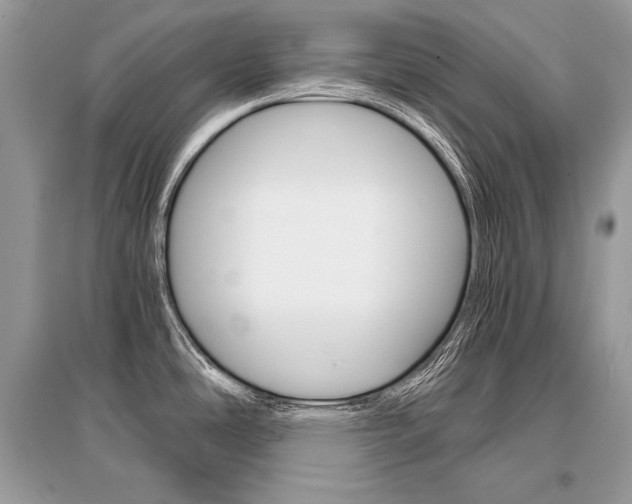 X0000096381486200801240951