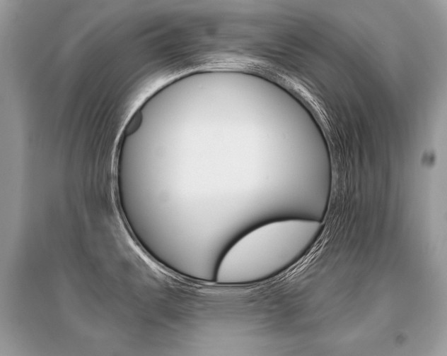 X0000096381487200801240951