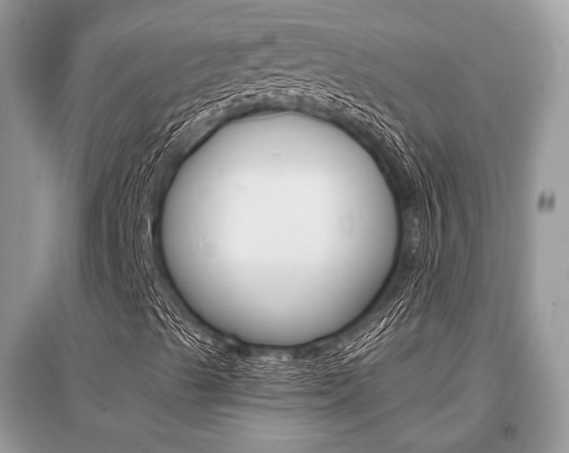 X0000096381489200801240950