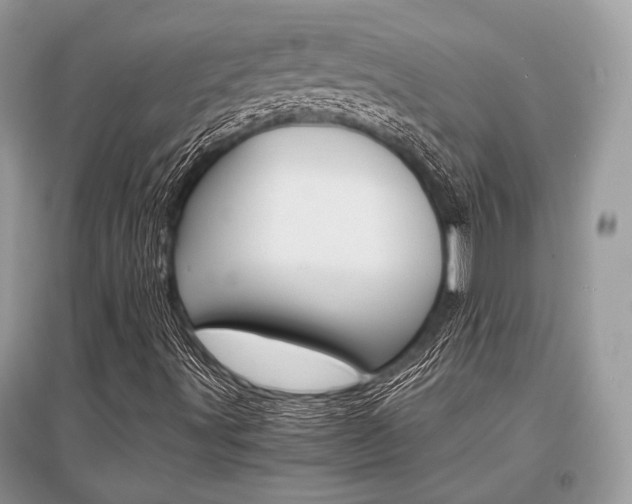 X0000096381491200801240950