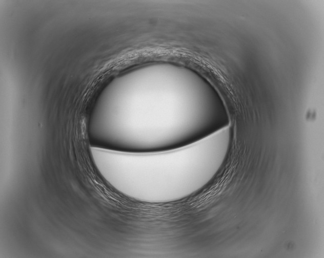 X0000096381492200801240950