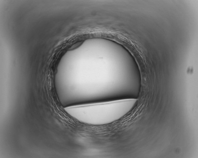 X0000096381493200801240950