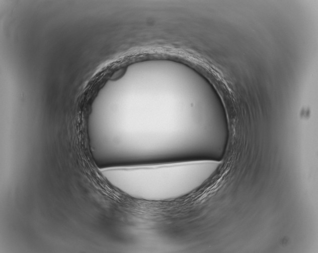 X0000096381494200801240950