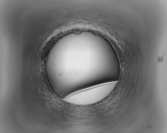 X0000096381495200801240950