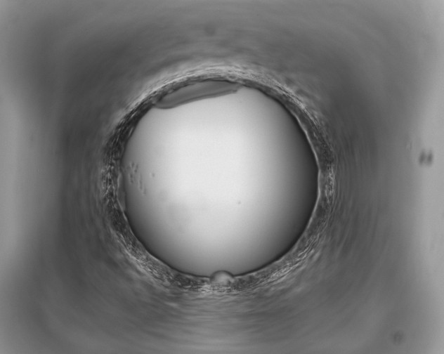 X0000096381496200801240950