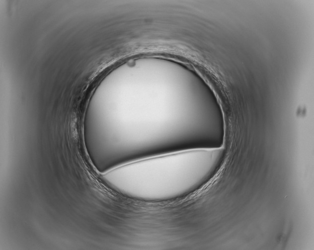 X0000096381497200801240950