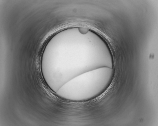 X0000096381498200801240950
