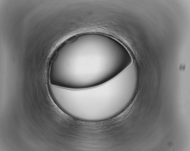 X0000096381500200801240950