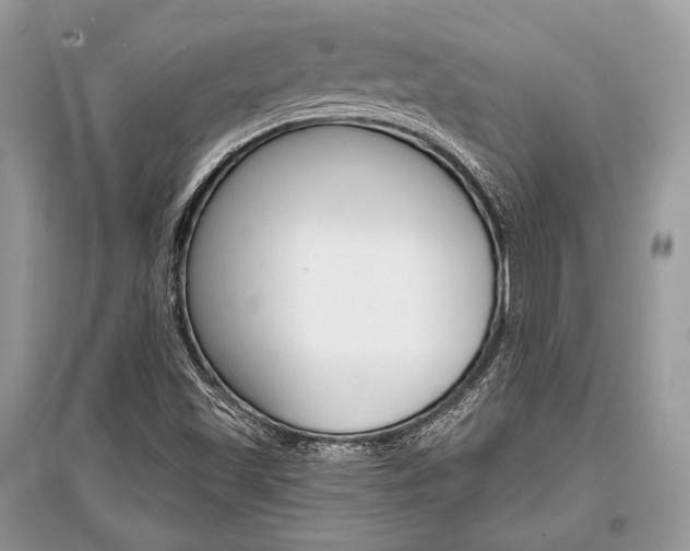X0000096381501200801240950