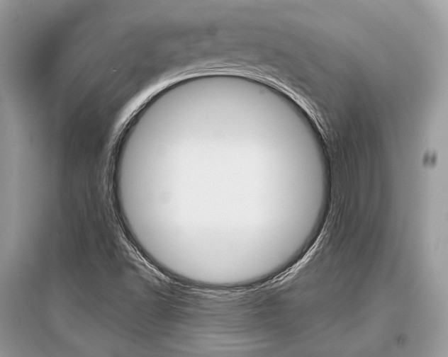 X0000096381502200801240950