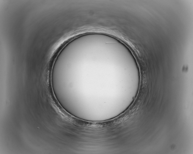 X0000096381503200801240950