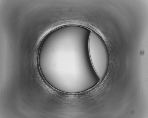 X0000096381504200801240951
