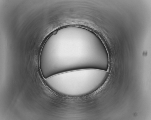 X0000096381505200801240951