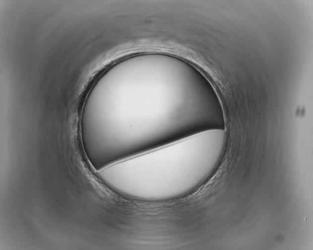 X0000096381507200801240951