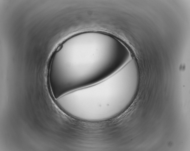 X0000096381508200801240951